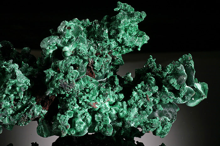Velvet/Druzy Malachite
