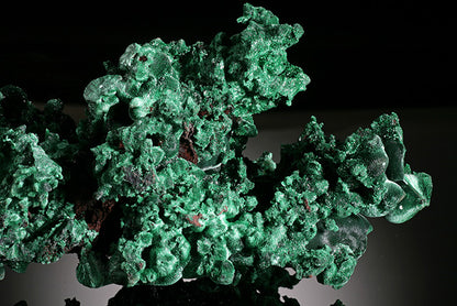 Velvet/Druzy Malachite