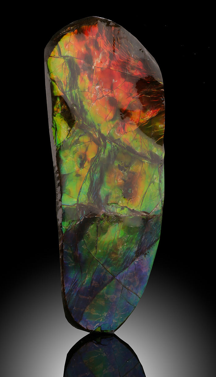 Ammolite