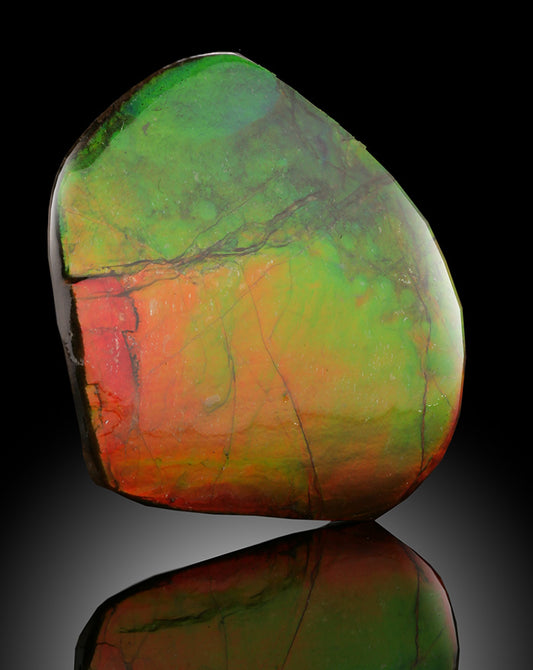 Ammolite from Canada
