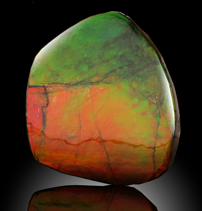 Ammolite from Canada