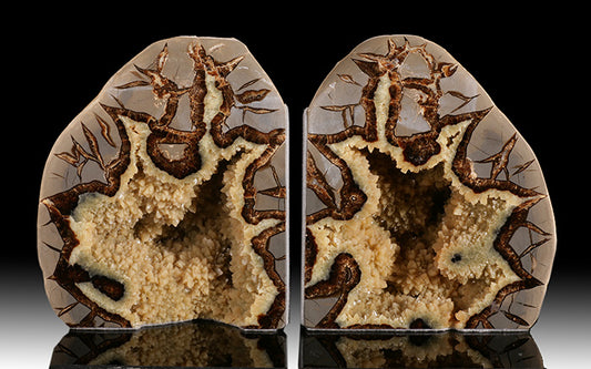 11-1/2" Utah Septarian Bookends