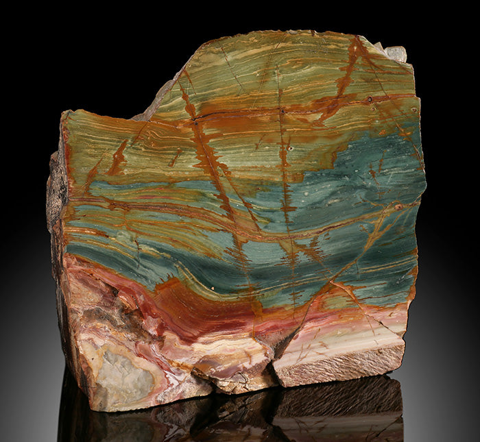 7-1/2" Petrified Swamp Bog (Gary Green)