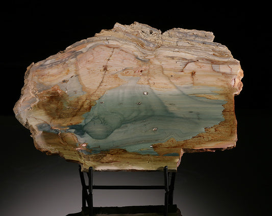 "Gary Green" Petrified Swamp Bog