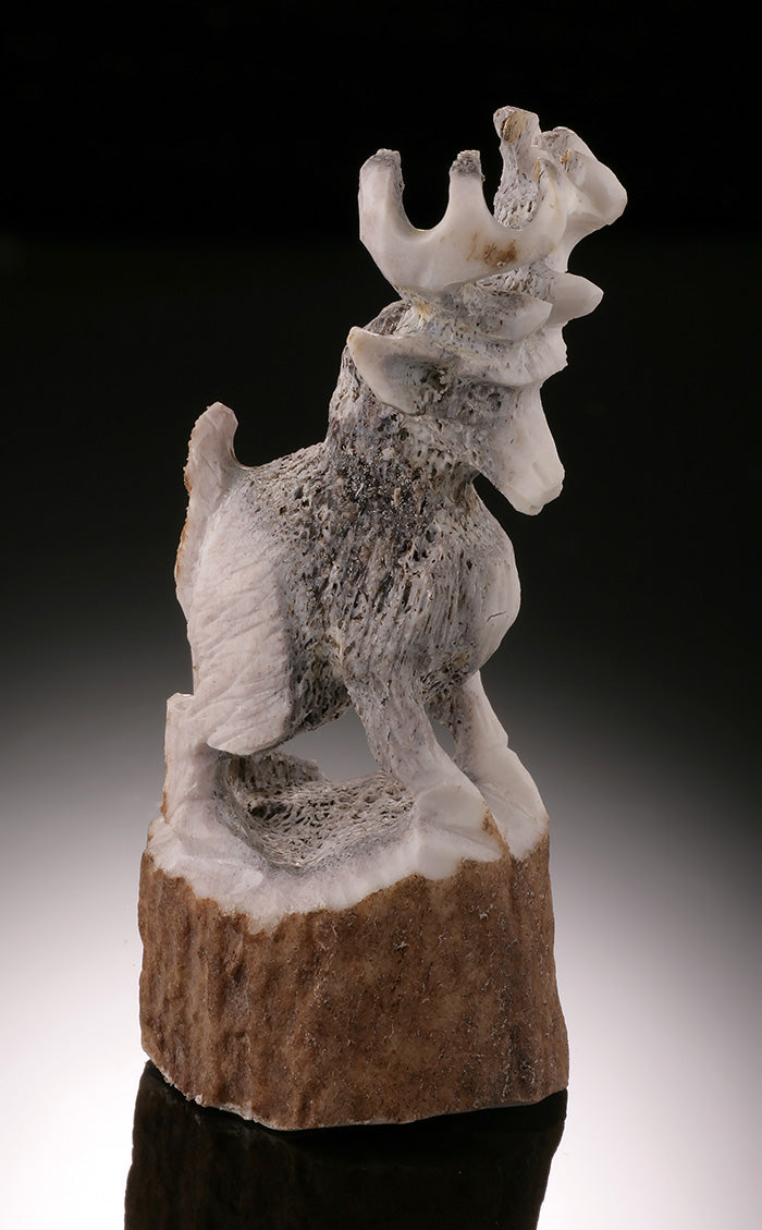 Zuni Deer Fetish