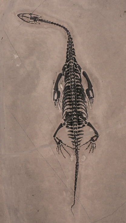 Keichosaur Plate (w/ stand)