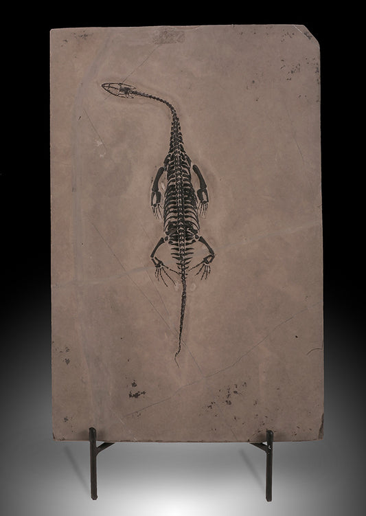 Keichosaur Plate (w/ stand)