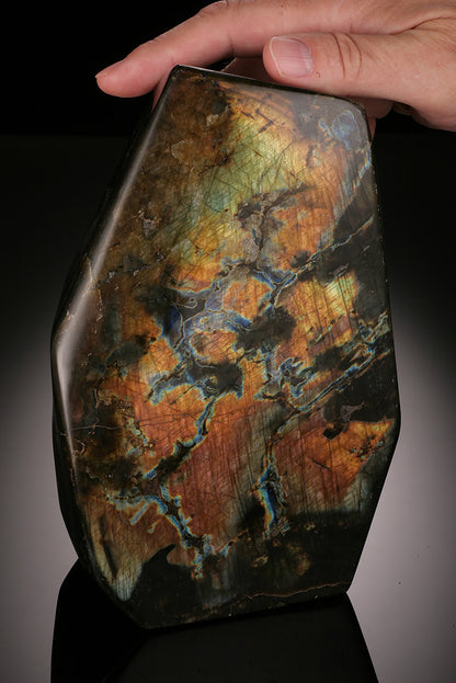 8" Freeform Labradorite