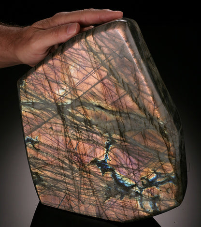11" Base Cut Labradorite (Pink Flash)