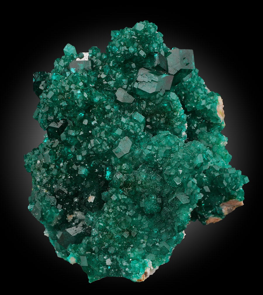 Dioptase Crystal Cluster