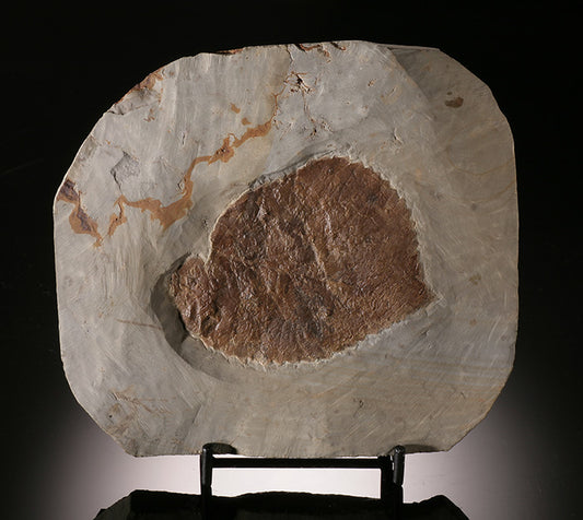 Davidia antiqua Leaf Plate (with stand)