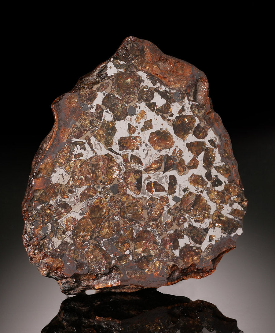 188g Brahin Pallasite Meteorite