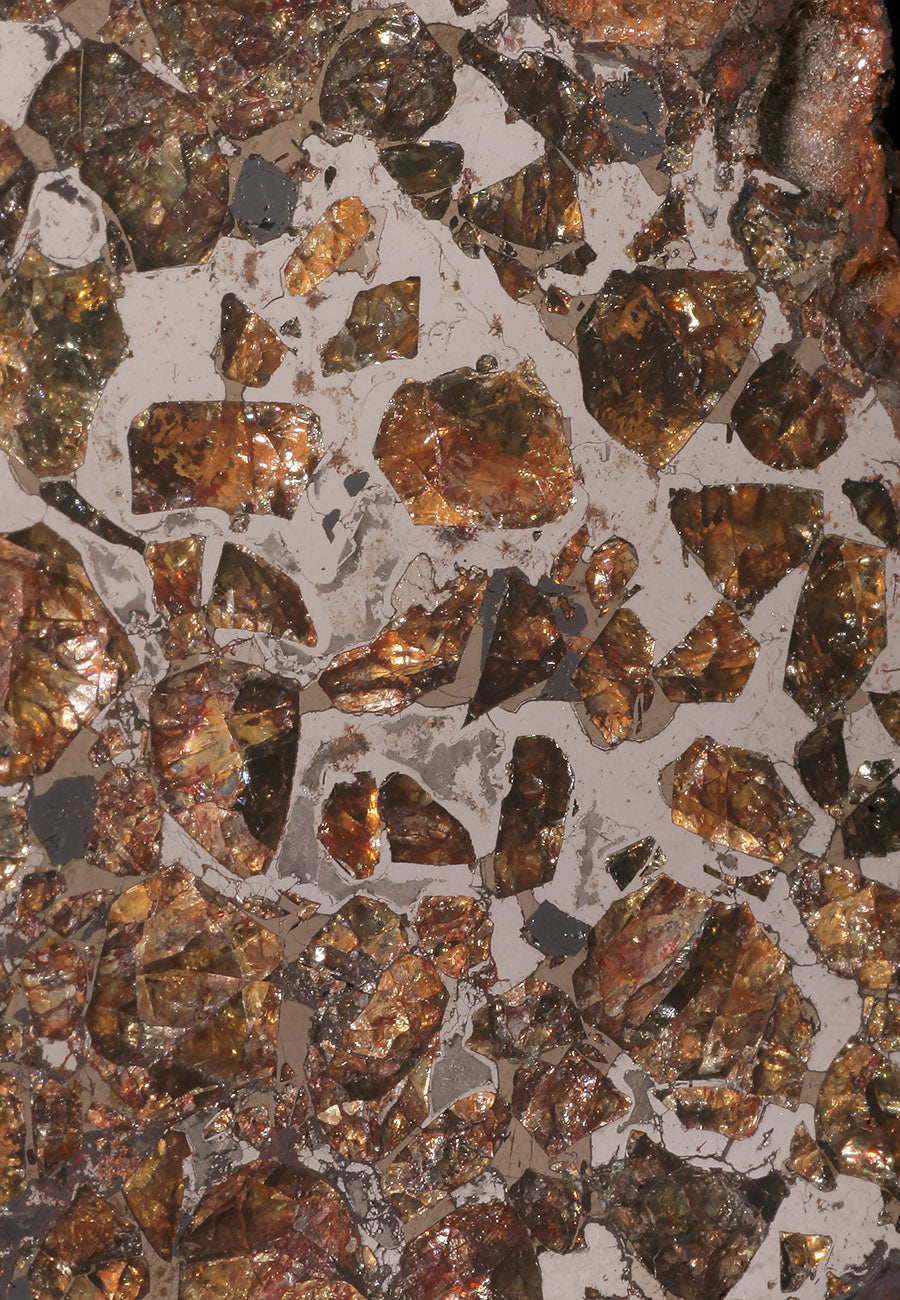 188g Brahin Pallasite Meteorite