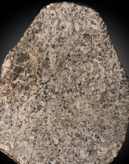 Millbillillie Stone Meteorite Eucrite, Western Australia