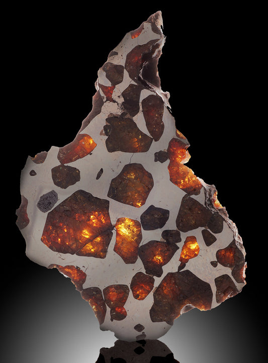 Imilac Pallasite Meteorite, Chile