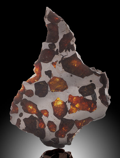 Imilac Pallasite Meteorite, Chile