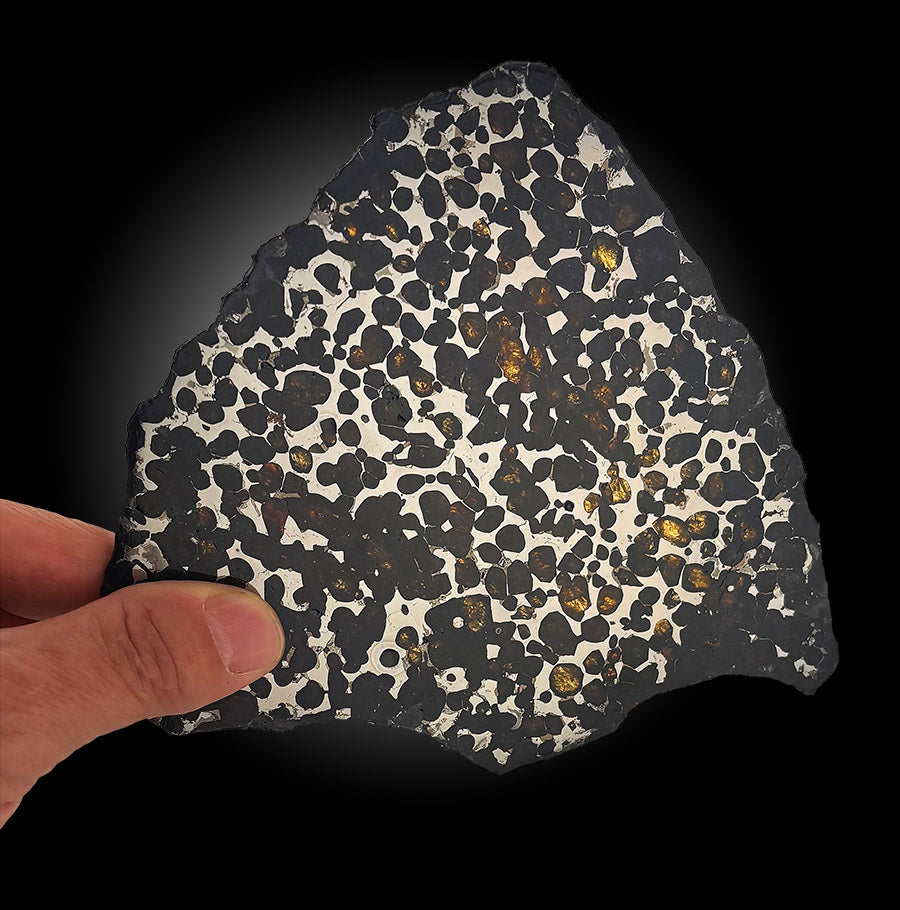 6-1/2" Sericho Meteorite Slice