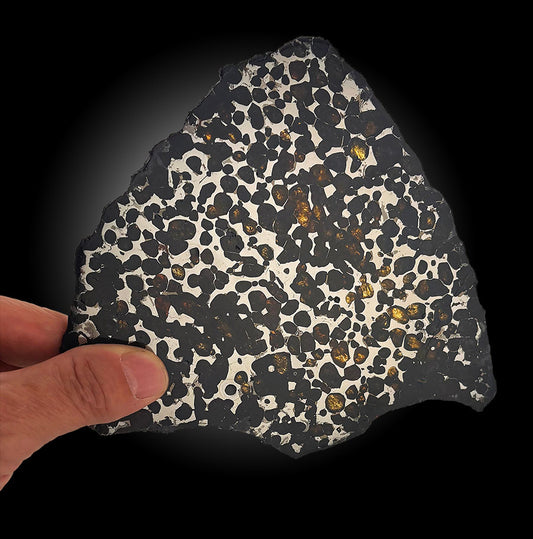 6-1/2" Sericho Meteorite Slice