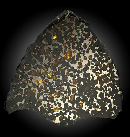 6-1/2" Sericho Meteorite Slice