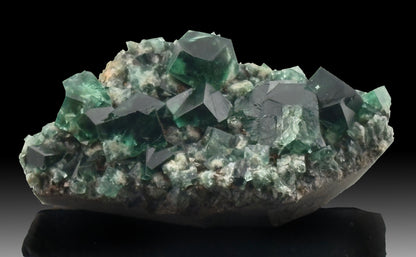 English Fluorite Cluster, Diana Maria Mine (Fluorescent)