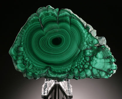4" Malachite Stalactite Slice (with stand)