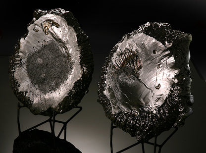 Russian Pyritized Ammonite Pair (with stands)