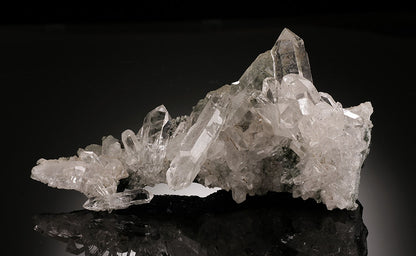 7-1/2" Himalayan Quartz/Chlorite Cluster