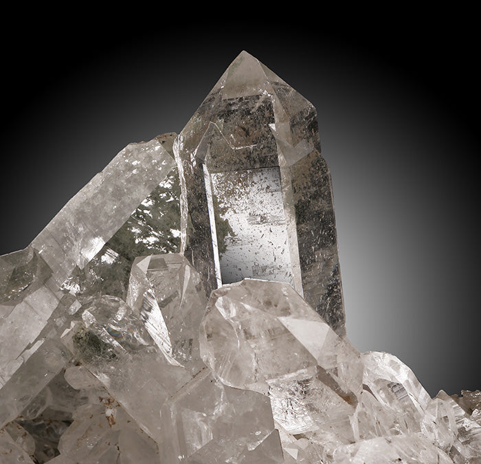 7-1/2" Himalayan Quartz/Chlorite Cluster