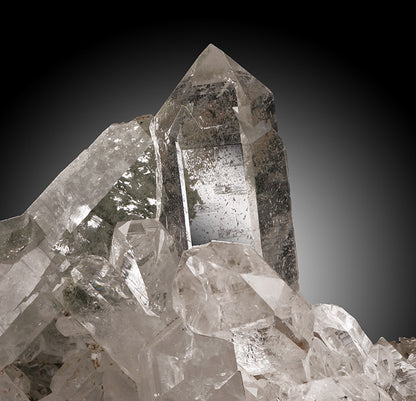 7-1/2" Himalayan Quartz/Chlorite Cluster