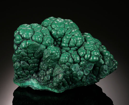 Malachite Brain, D.R.O.C