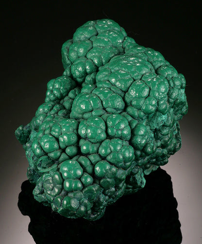 Malachite Brain, D.R.O.C