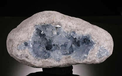 10" Celestite Geode - Madagascar