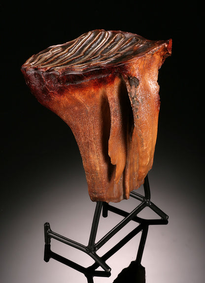 Juvenile Woolly Mammoth Molar (w/ stand)