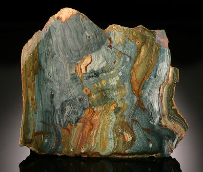 Gary Green Petrified Swamp Bog - Base Cut