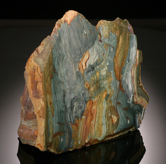 Gary Green Petrified Swamp Bog - Base Cut