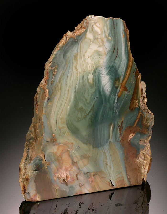 4" Petrified Swamp Bog (Gary Green)