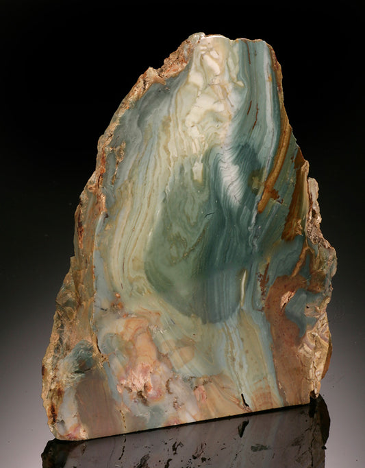 4" Petrified Swamp Bog (Gary Green)
