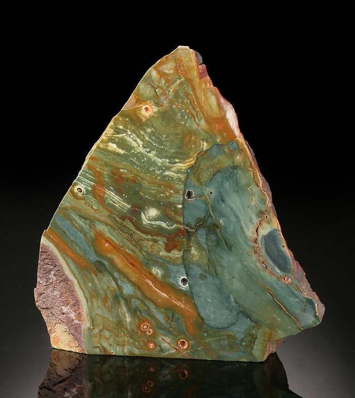 7" Petrified Swamp Bog (Gary Green)