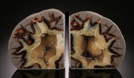 Utah Septarian Bookends