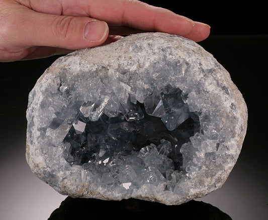 6" Celestite Geode
