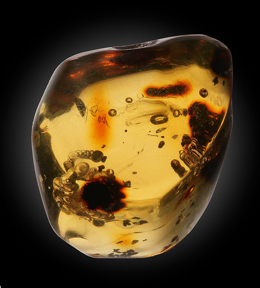 Polished Amber, Dominican Republic