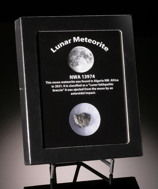 Lunar Meteorite NWA 13974