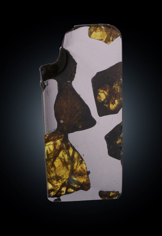 14.3 gr Fukang Meteorite with Stand