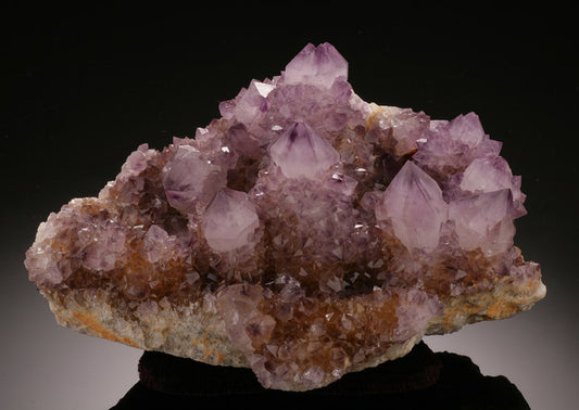 Cactus Amethyst (Spirit Quartz) / S. Africa