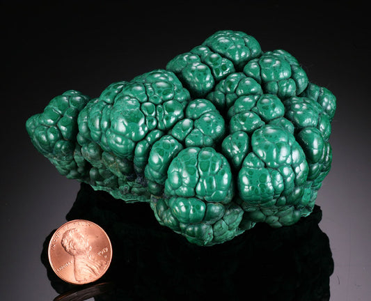 Malachite Brain