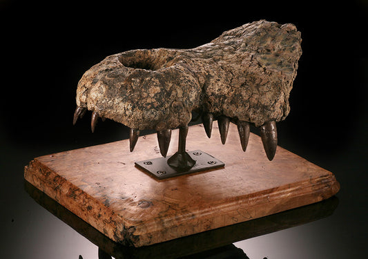 Giant Crocodile