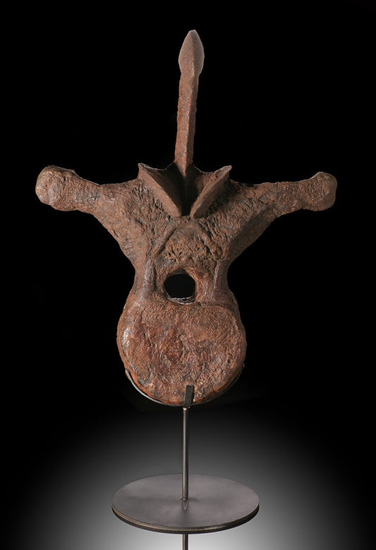 Large Triceratops Vertebrae