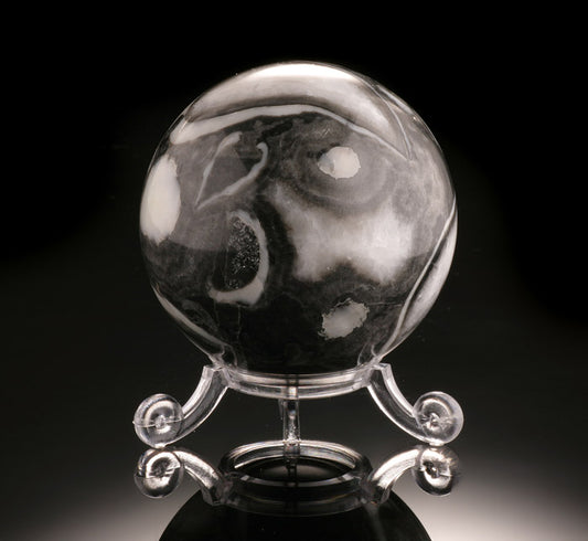 Fossil Clam Sphere (with stand)