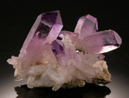 Vera Cruz Amethyst (Willard Wulff Collection)