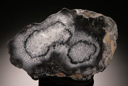 Dendritic Agate